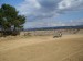 SDC11016.JPG