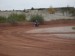 SDC10767.JPG